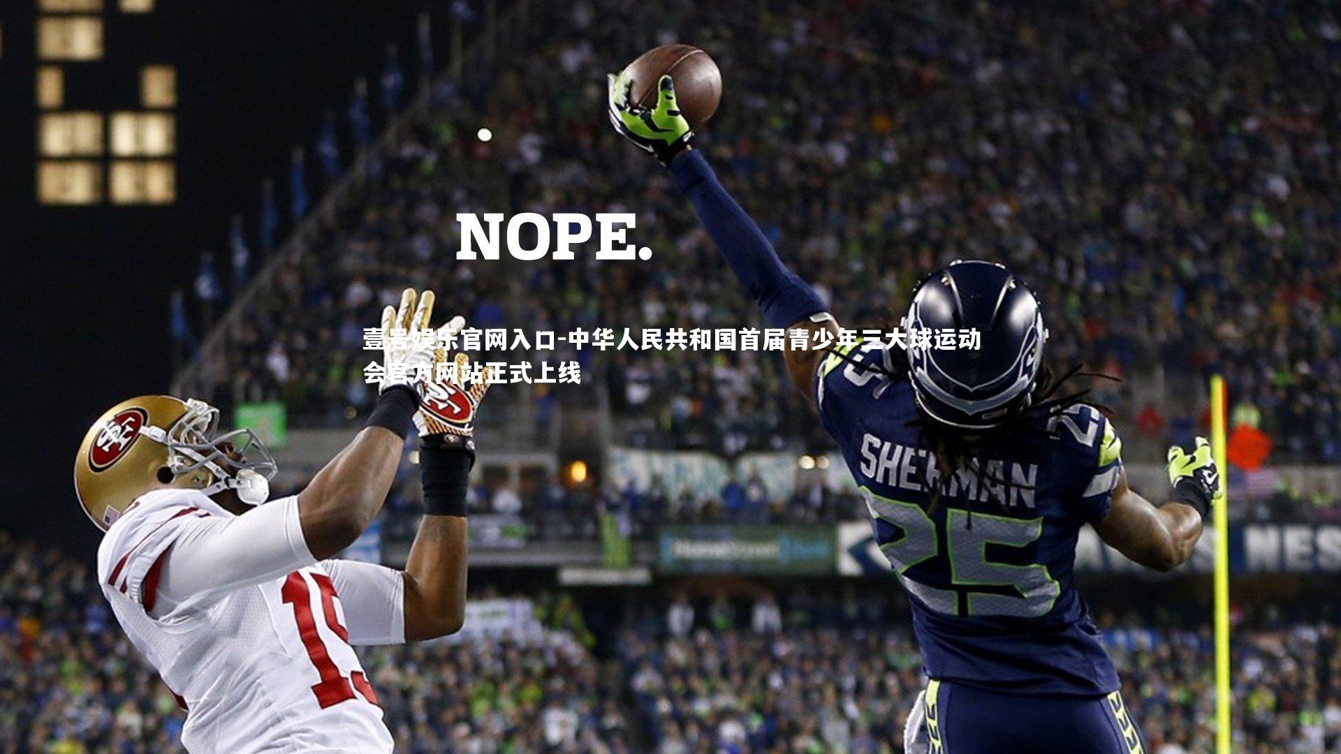 中华人民共和国首届青少年三大球运动会官方网站正式上线